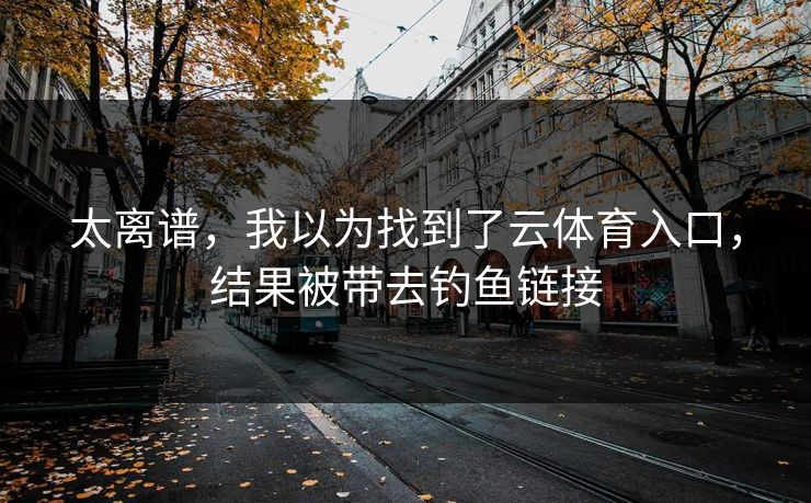 太离谱，我以为找到了云体育入口，结果被带去钓鱼链接